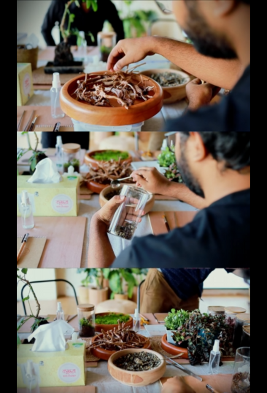Terrarium making workshop